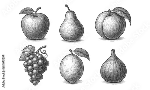 Vintage style fruit illustrations featuring apple, pear, peach, grapes, lemon, and fig