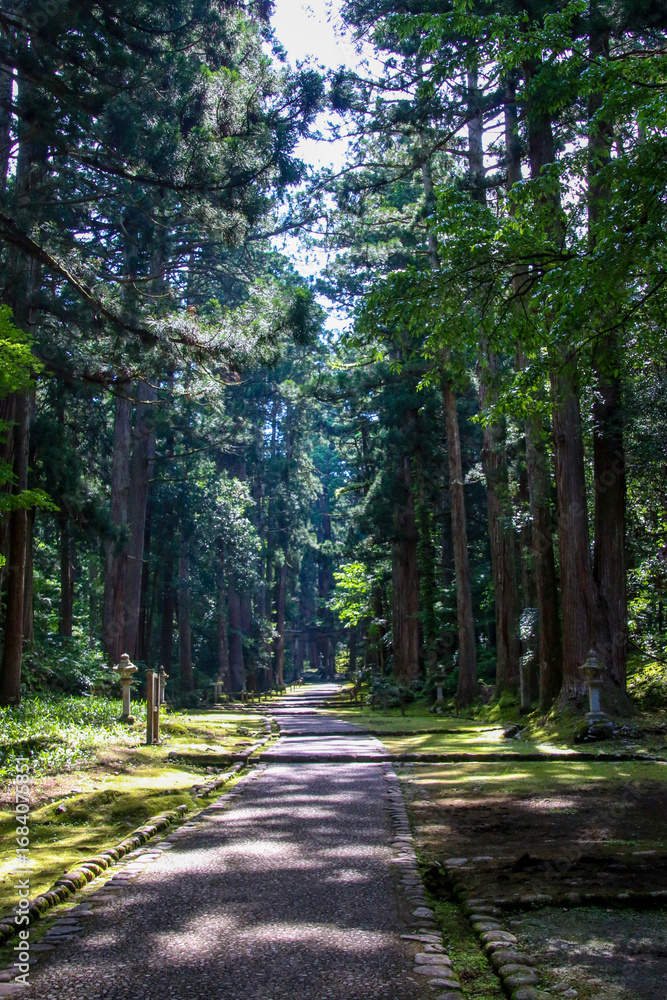 Fototapeta premium 平泉寺白山神社