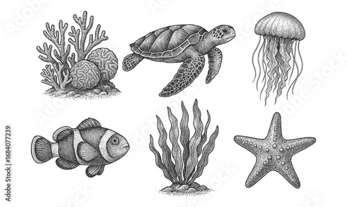 Vintage ocean creatures collection with coral and seaweed