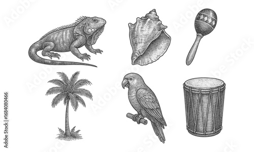 Vintage caribbean elements with iguana, drum, and palm tree