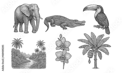Vintage wildlife and nature sketches featuring jungle animals and tropical plants