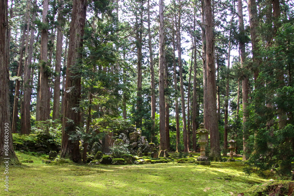 Obraz premium 平泉寺白山神社