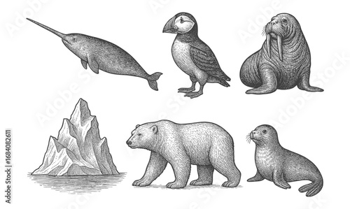 Detailed hand-drawn arctic wildlife: polar bear, narwhal, puffin, walrus