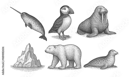 Hand-drawn arctic wildlife: narwhal, puffin, walrus, polar bear, iceberg, seal