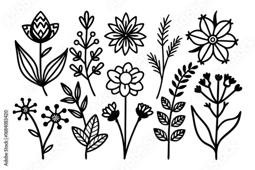 Black Outline Botanical & Flower Vector Illustration