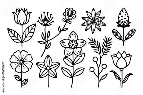 Black Outline Botanical & Flower Vector Illustration