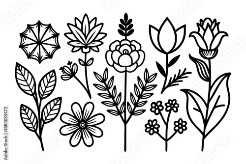 Black Outline Botanical & Flower Vector Illustration