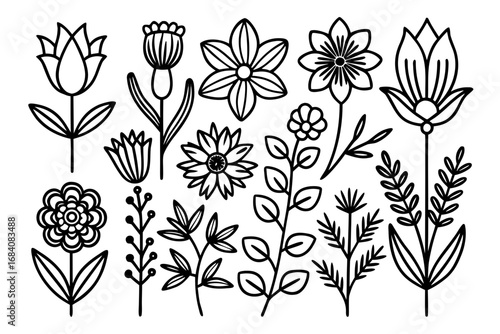 Black Outline Botanical & Flower Vector Illustration