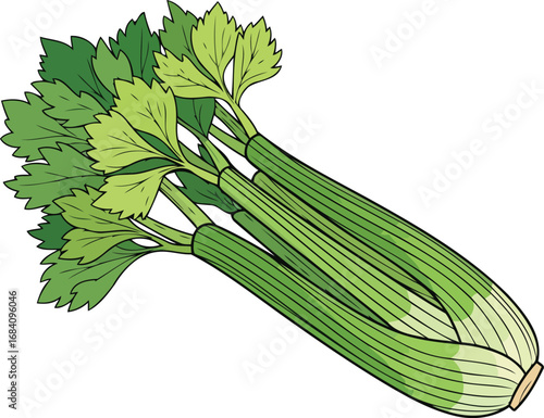fresh green celery stalks vibrant culinary vegetable illustration