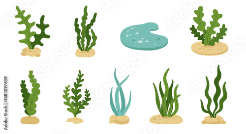 Aquatic plants collection: vibrant seaweed and algae designs for marine themes