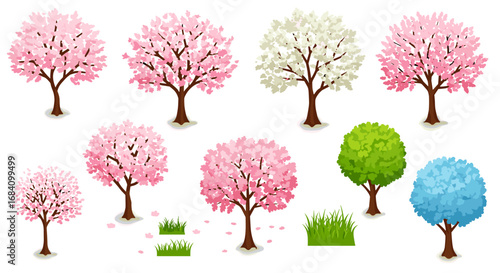 Colorful cherry blossom and seasonal trees with vibrant foliage in flat style
