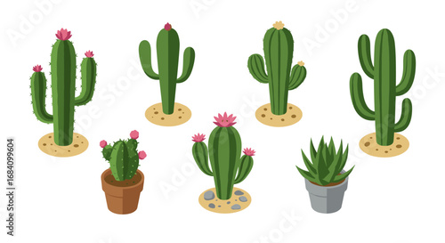 Diverse cactus collection in vibrant isometric style
