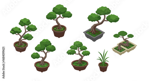 Isometric potted plants collection featuring diverse bonsai trees