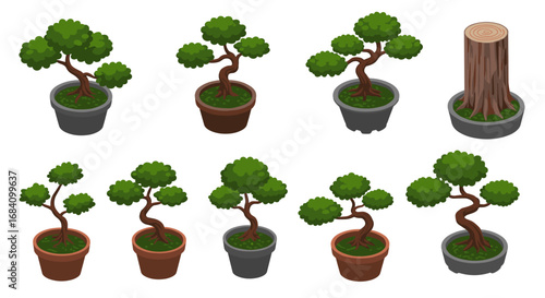 Isometric potted bonsai collection: diverse shapes and styles on white background