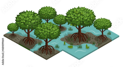 Isometric mangrove forest with lush trees and swampy terrain
