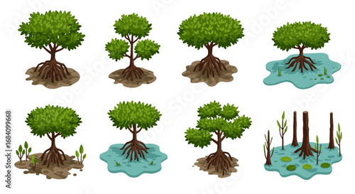 Diverse mangrove tree designs in various natural habitats