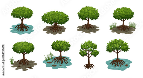 Collection of cartoon mangrove trees with roots and water elements in different styles