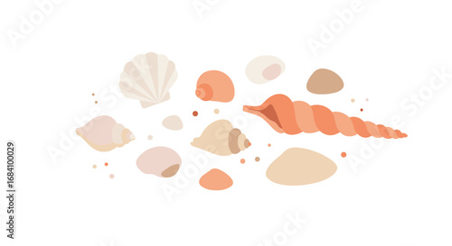 Colorful seashell collection with minimalist design on white background