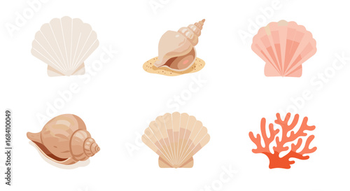 Assorted seashells and coral set on white background