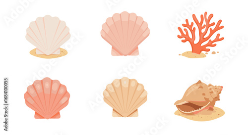 Collection of sea shells and coral with sandy base on white background