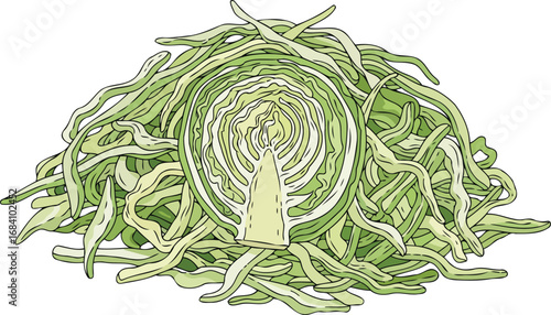 freshly sliced green cabbage a culinary delight, detailed illustration of healthy vegetable