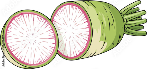 vibrant green daikon radish a detailed illustration of a sliced root vegetable