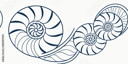 Elegant nautilus shell pattern design inspires organic growth and natural beauty in any project