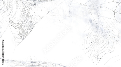 Metallic Silver Spiderweb Overlay Transparent Background