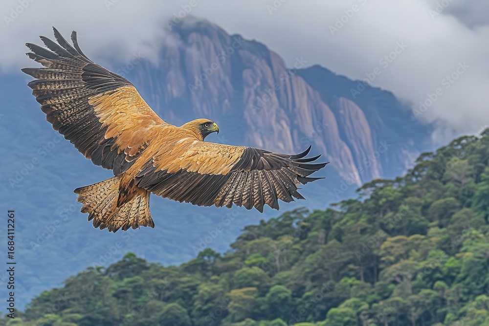 Fototapeta premium Eagle Soars Above The Forest And Mountains, Freedom Flight And Natural Beauty