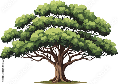 majestic oak tree illustration lush green canopy, detailed trunk, and sprawling branches