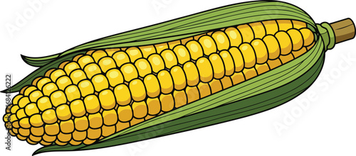 sweet corn on the cob a fresh harvest illustration