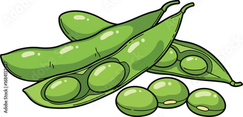 fresh green edamame beans culinary illustration of healthy vegetable