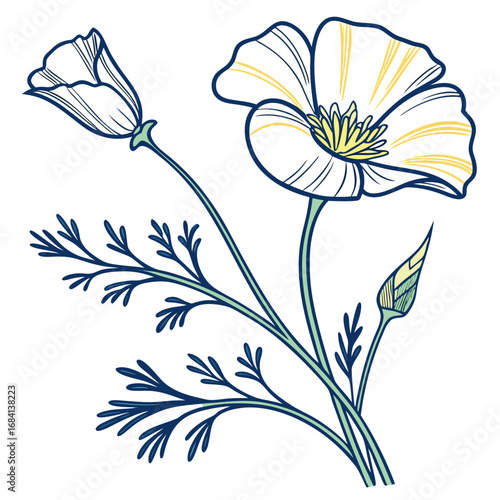 california golden poppy vector