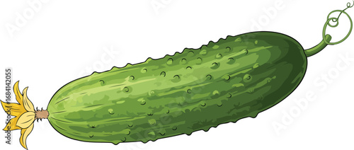 vibrant green cucumber with blossom fresh vegetable illustration