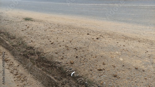 Dry roadside ground with sandy soil and scattered stones, captured in natural daylight. This image is perfect for backgrounds, design textures, environmental concepts, or educational materials about s