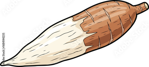 detailed illustration of a single malanga root, brown and beige colors, culinary vegetable