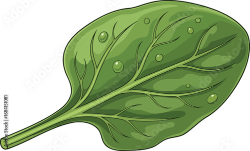 single fresh spinach leaf illustration vibrant green, detailed veins, dewdrops