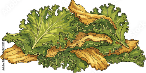 crispy kale chips and fresh leaves a healthy snack illustration