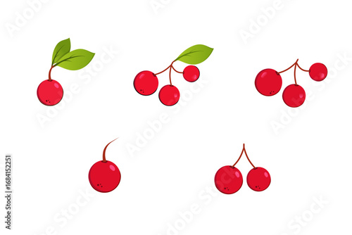 set cherry fruit vector design with attached leaves. colored cherry fruit vector design