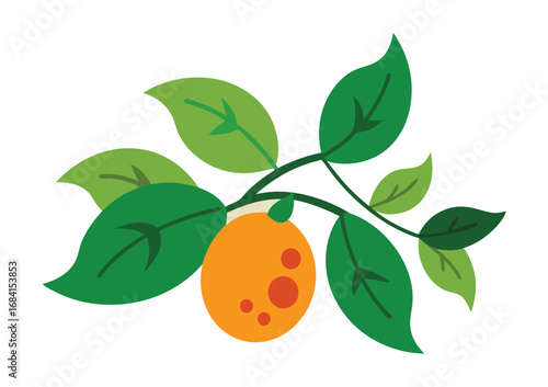 Momordica charantia tropical vine with edible fruit illustration