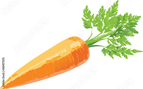 Fresh Carrot with Leafy Green Top Isolated
