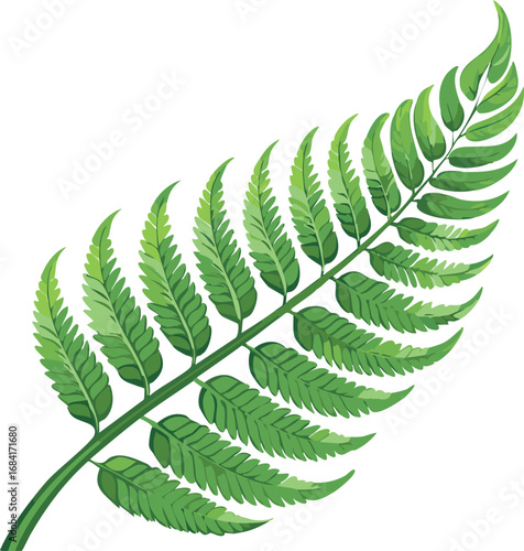 Curved Fern Leaf Isolated in Vector Style