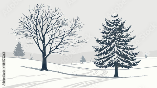 Winter Landscape with Trees Covered in Snow.