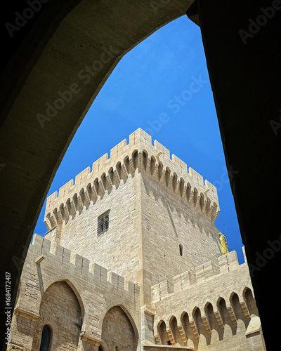 Papal Palace in Avignon, France