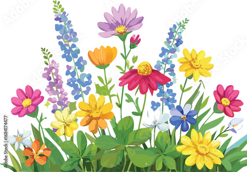 Colorful Patch of Mixed Wildflowers Isolated