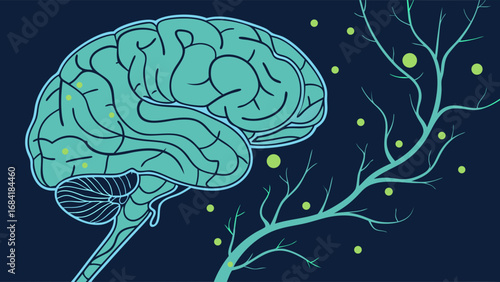 Stylized illustration of a brain and branching structure representing neural connections or growth.