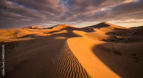 Fototapeta Naklejka Na Ścianę i Meble -  Golden Sand Dunes at Sunset in a Vast Desert Landscape.