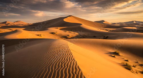 Fototapeta Naklejka Na Ścianę i Meble -  Golden Sand Dunes at Sunset in a Vast Desert Landscape.