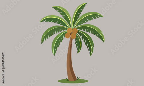 Tropical Coconut Palm Tree with Blue Sky and Beach Background
