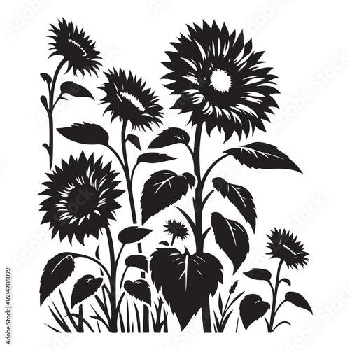Sun Flower